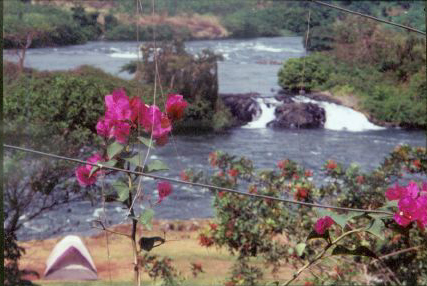[jinja+verdant]