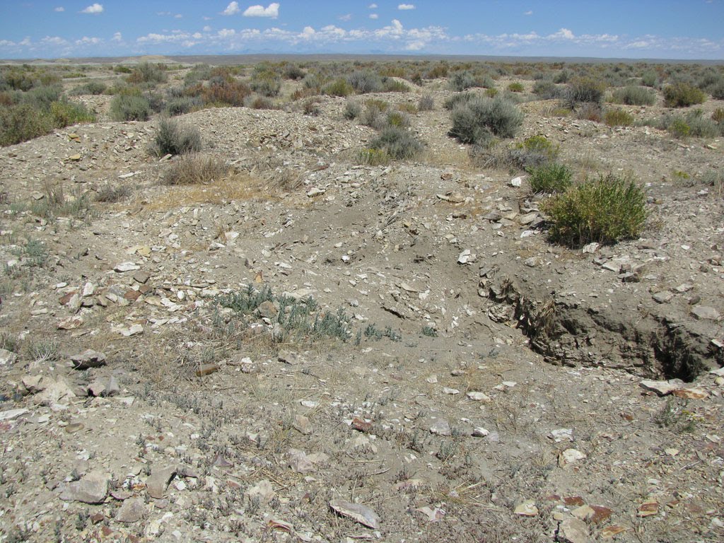 Views of the Mahantango "Blue Forest"