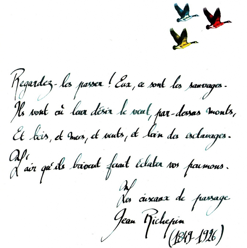 La tête dans les étoiles...les pieds