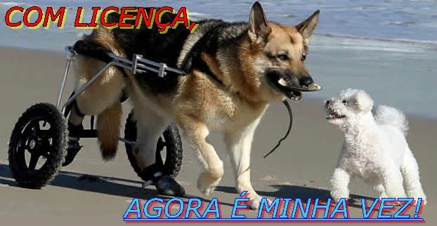 EM CONTRUÇÃO