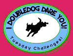 Doubledog Challenge Team!