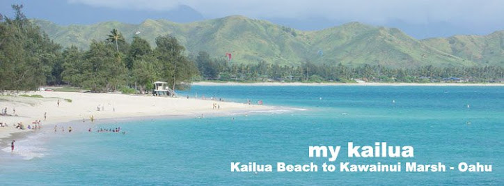 My Kailua