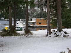 The only snowfall, Dec 14-15, 2009