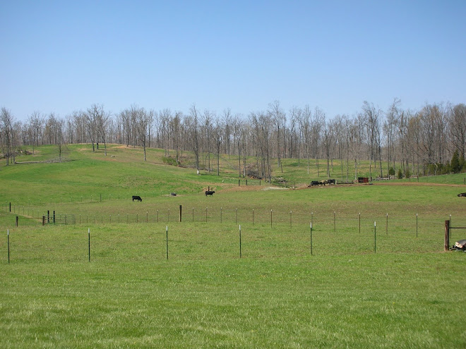Southard Homestead in 2009