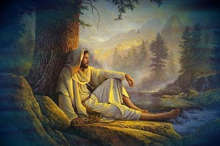 Jesus Christ sitting under the tree in the forest hd(hq) religious Christian wallpaper