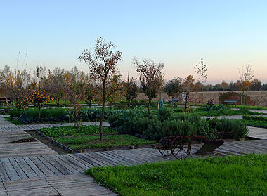 Il campo di frutta e ortaggi vicino al casone rosso. Foto di Andrea Mangoni.