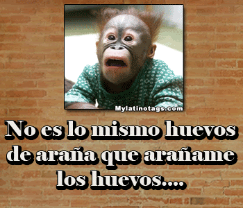 Chistes y Mas: IMAGENES CON FRACES GROCERAS E INSULTOS