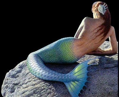 [mermaid11.bmp]