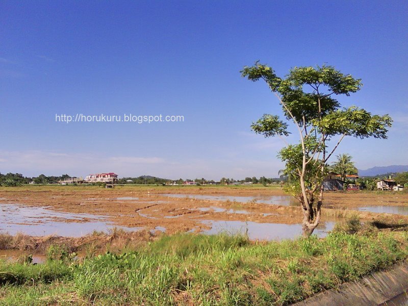 [DSC00844+penampang+paddy+field.jpg]