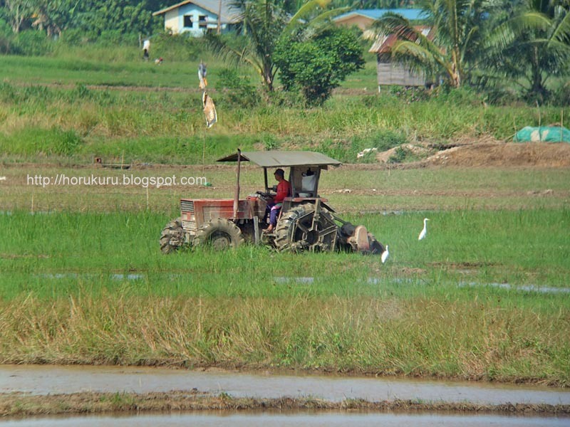 [DSCF9517+penampang+3.jpg]