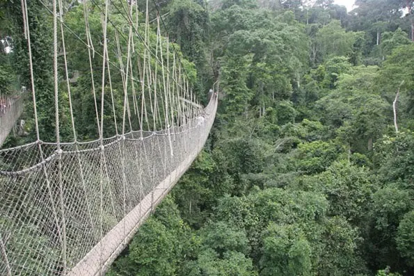 Bridge View