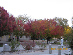 Fall in Albuquerque, USA