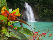 Kawasan Falls Cebu