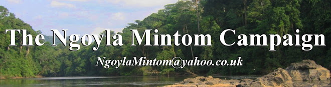 The Ngoyla Mintom Campaign