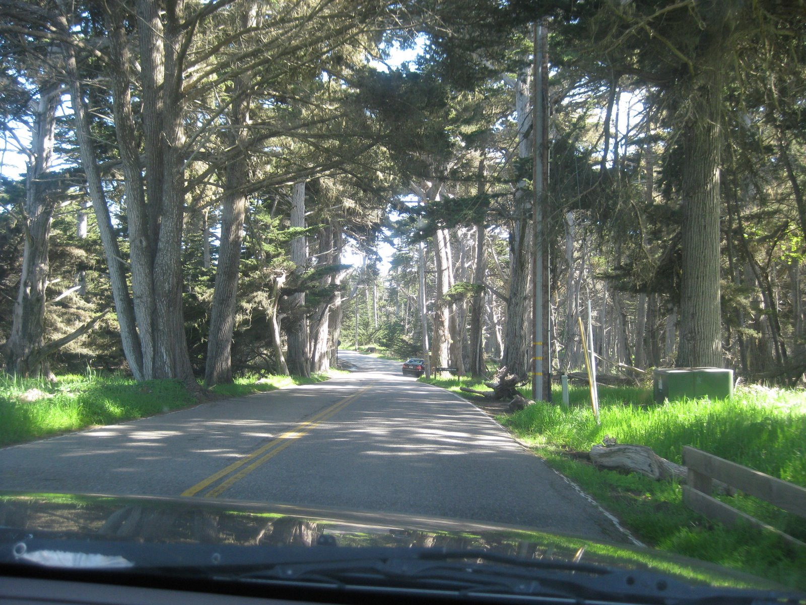 [apr+11+Dense+woods+Monterey+Pebble+beach+Carmel+081.jpg]