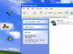 software kingfisher bird desktop funny avi