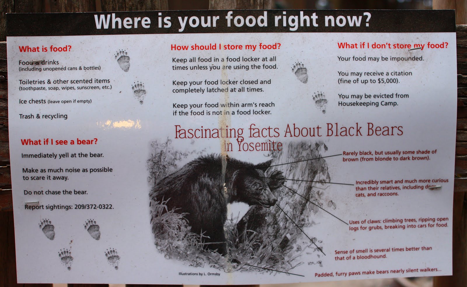 Living on the other side of the with my three boys Yosemite is