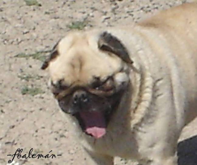 TRR PRECESIÓN DEL PERIHELIO DE MERCURIO