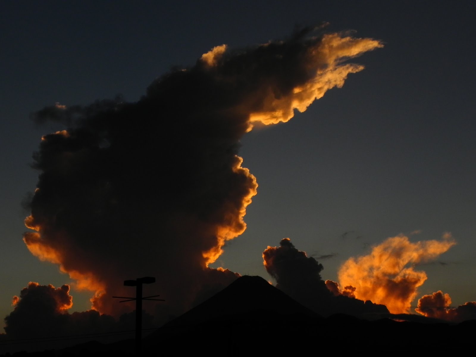 DSCN5179.JPG