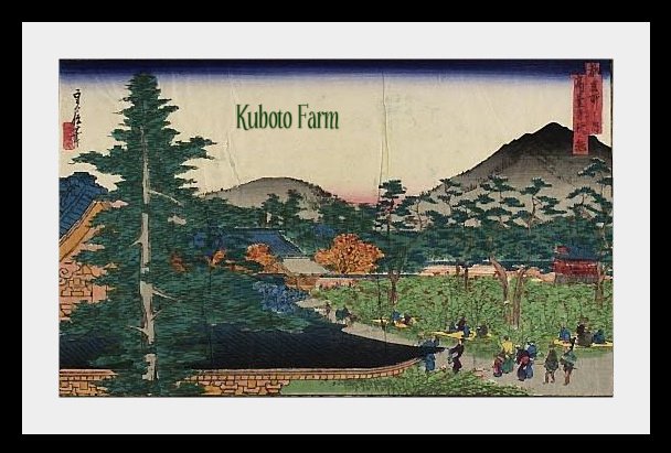 Kuboto Farm