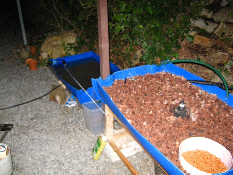 ... right, but in aquaponics, there is a better way. Flood and drain