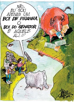 Resultado de imagem para boi de piranha