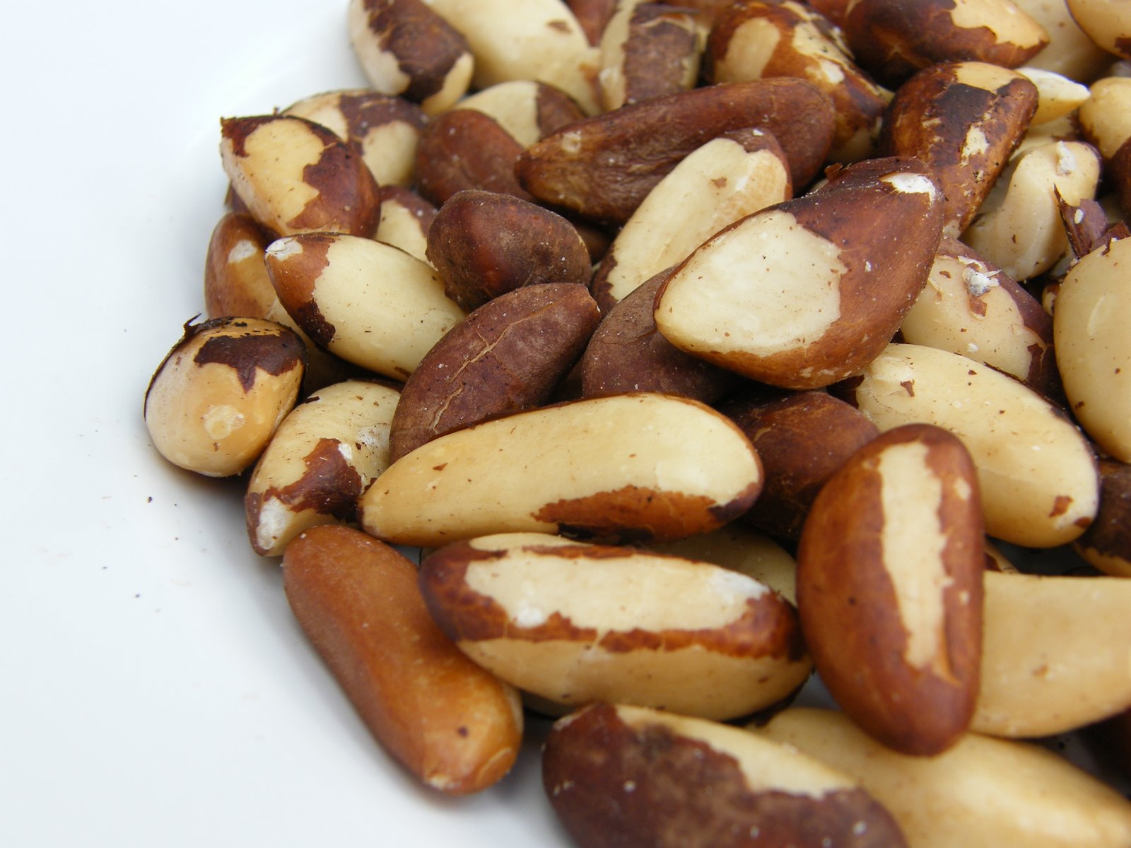 [brazil+nuts.JPG]
