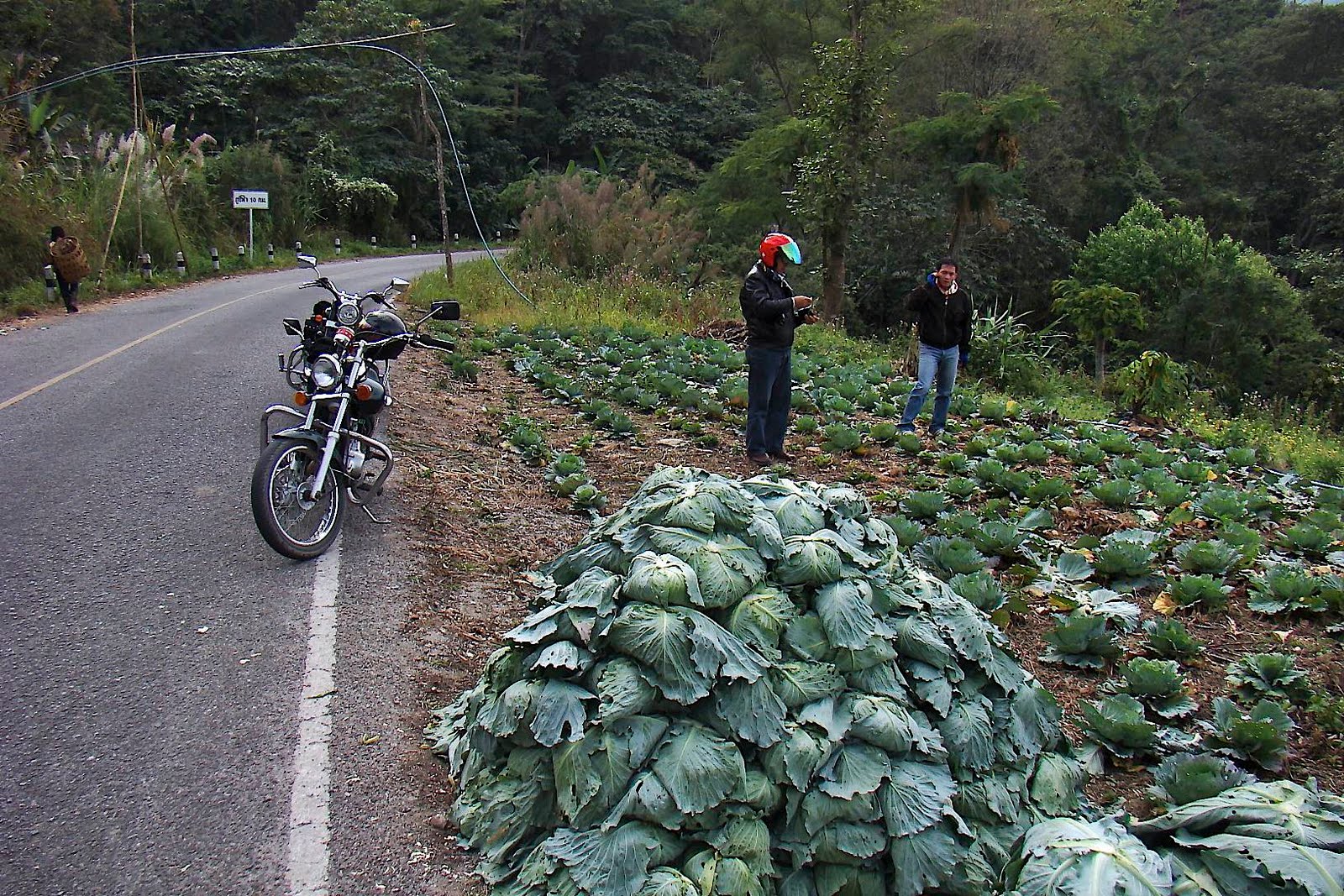 [DSC07459_2.jpg]