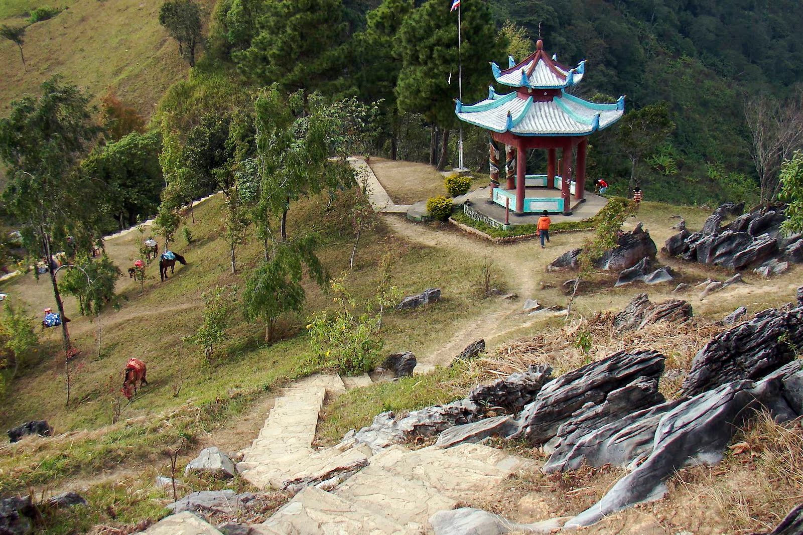 [DSC07549_2.jpg]