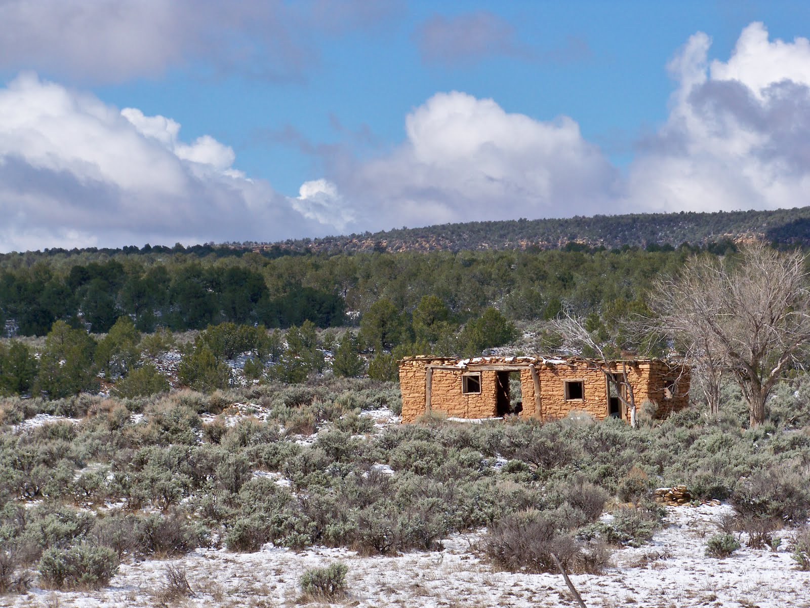 La Casa de Towanda The Pueblo of Zuni