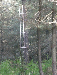 la technique pour grimper