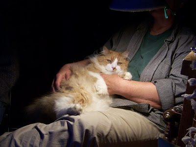 Monty the cat on Linda's lap