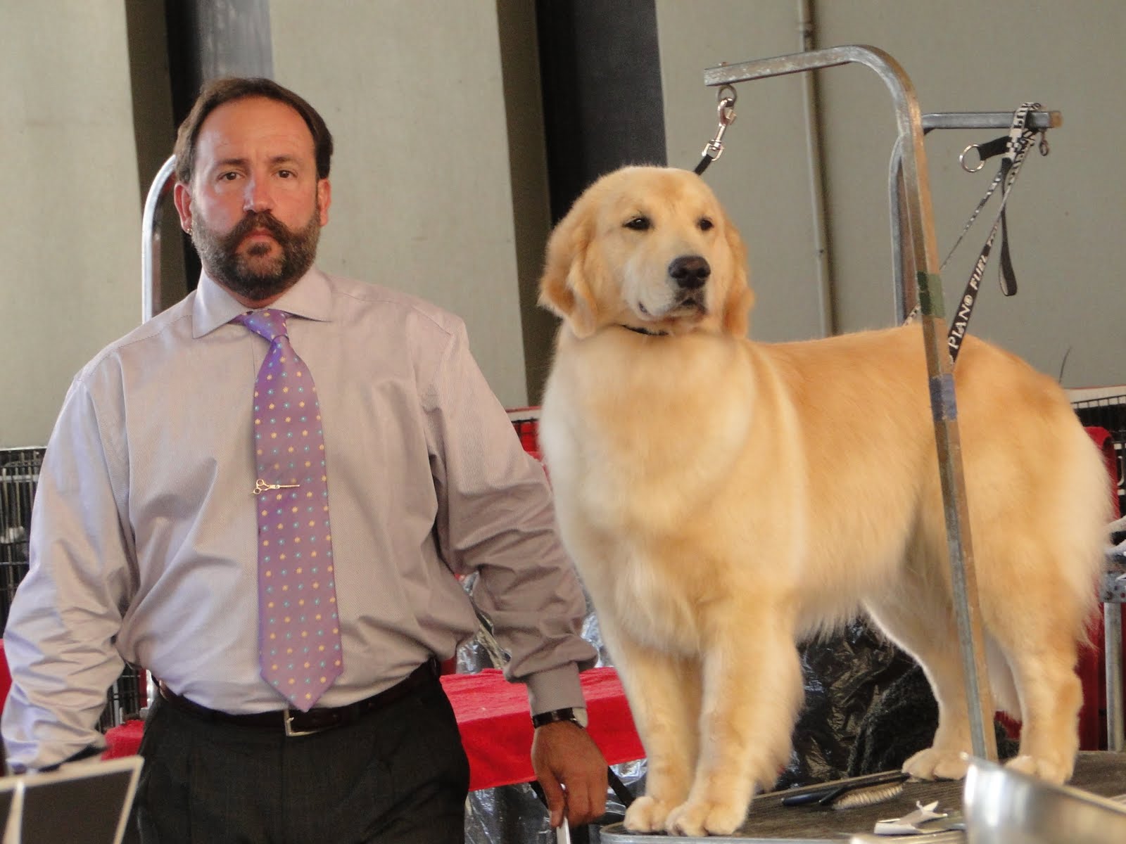 Gold Level Kennel Gold Level Kennel ( Ex Olympikus Golden )