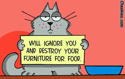cartoon of a cat holding a funny sign...will ignor for food