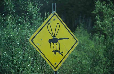 photo of a sign with a mosquito carrying a person