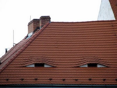 photo of windows in a house looking like eyes