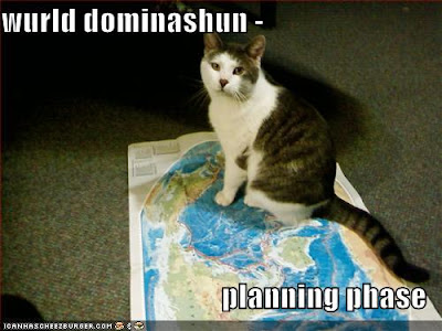 photo of a cat sitting on a world map