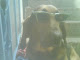 Mi foto