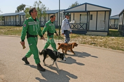 [Portuguese+Police4.jpg]