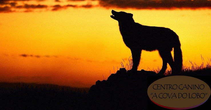 A COVA DO LOBO