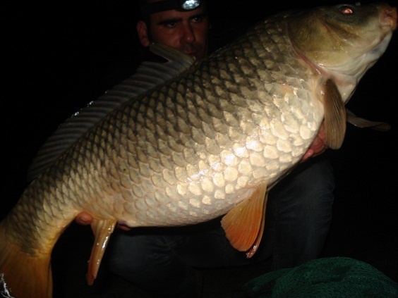 Carpa Aguieira 12 Abril 2010