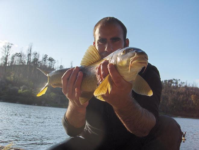 Mais um barbo com 3 Kg cernada 28 abril 2008
