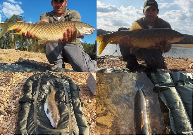 Barbo 4,3 Kg Aguieira 27 Setembro 2008