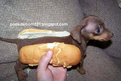 Hotdog Sebenar 