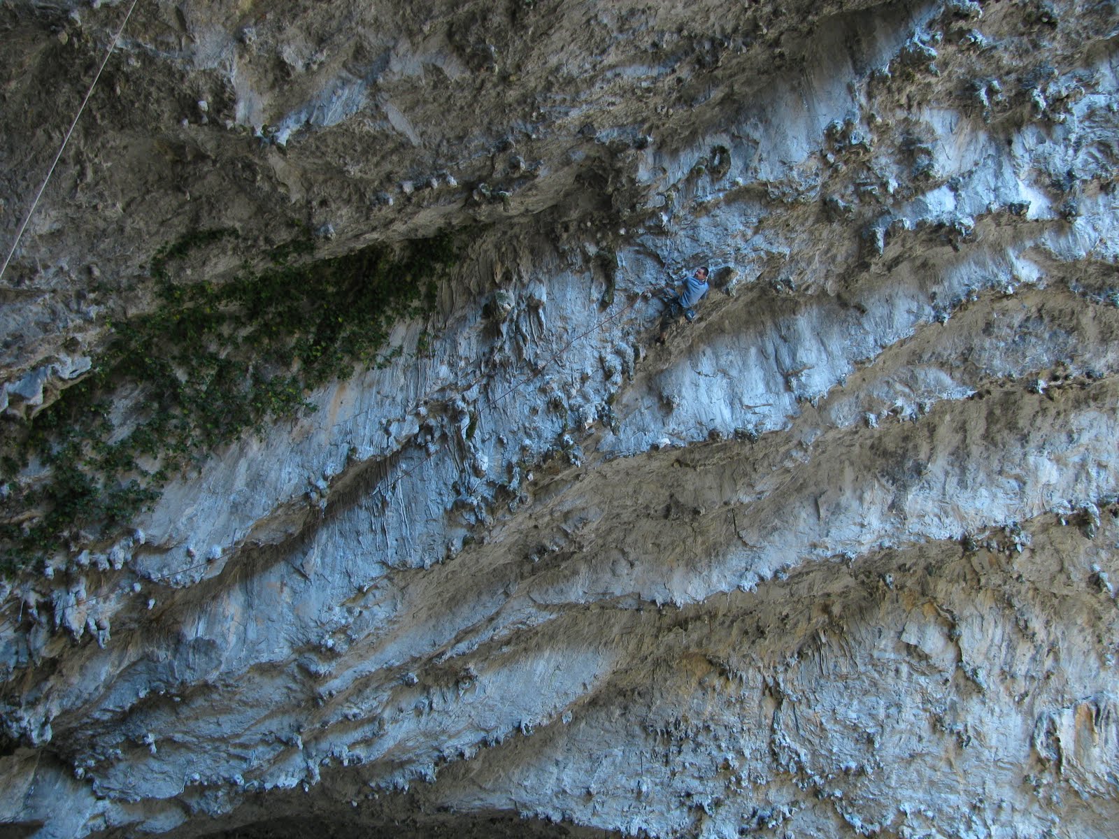 [IMG_1207.JPG]