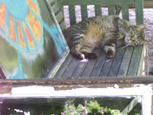 Major Tom (To Ground Control) My Tom Cat Relaxes In The Artist's Outdoor Studio.....Mine.
