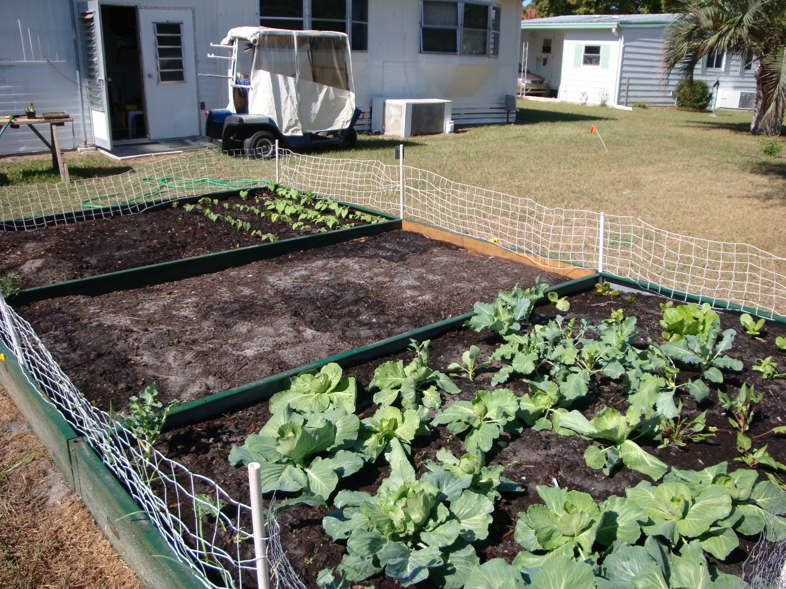 The Garden for Eatin'--for Practical Vegetable Gardening: Florida