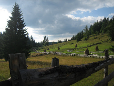 paysage rural des apuseni