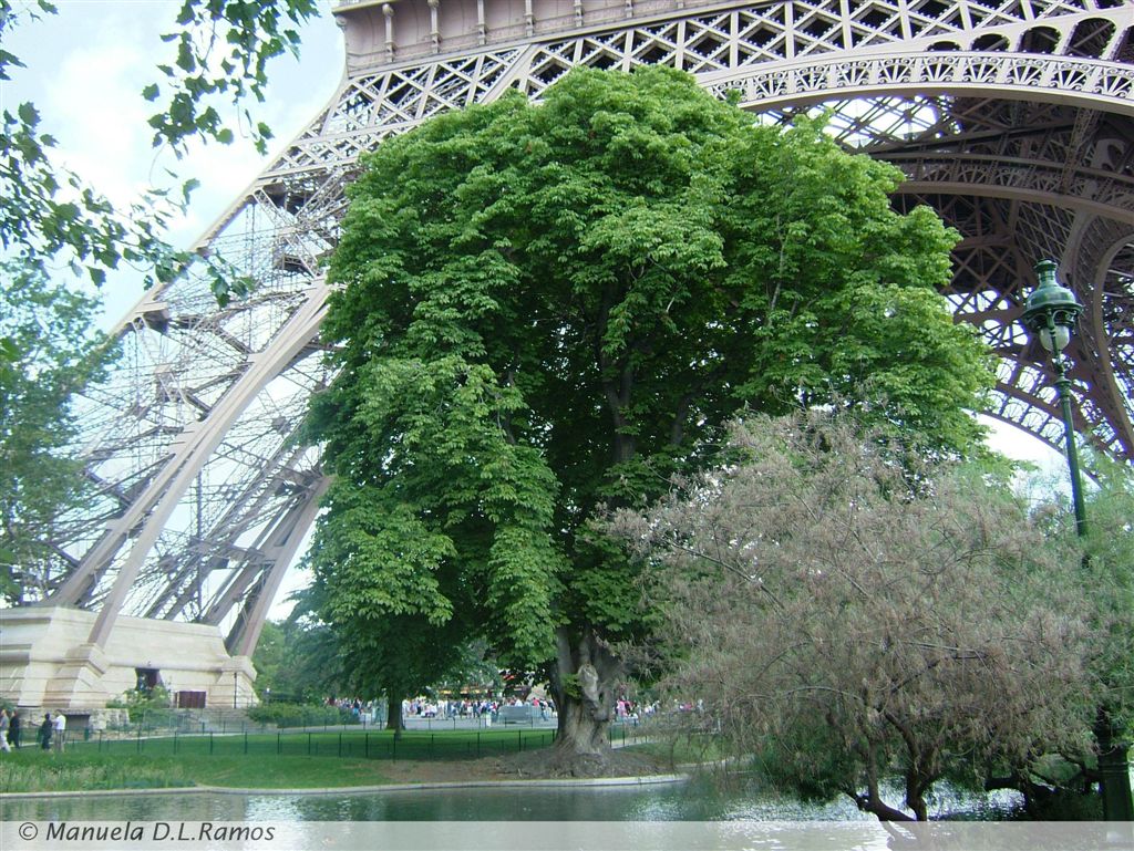 [Eiffel-2005-08+(10).jpg]