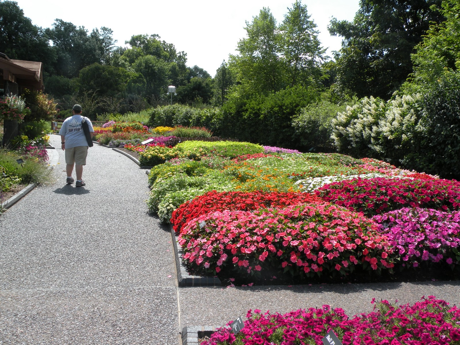 Mary's Louisiana Garden Spring pictures